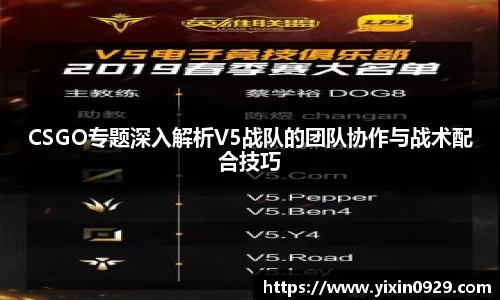 CSGO专题深入解析V5战队的团队协作与战术配合技巧