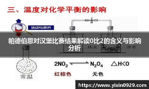 帕德伯恩对汉堡比赛结果解读0比2的含义与影响分析